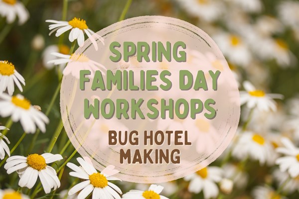 Spring Families Day Workshops - Bug Hotel Making