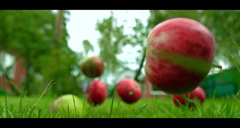 The Apple Falls - Isaac Newton on Film