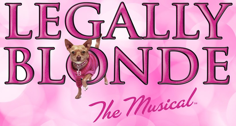 Legally Blonde Junior