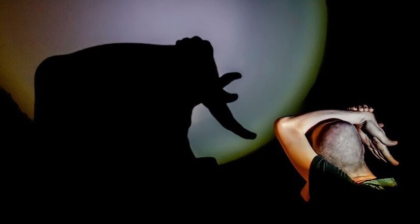 Shadow Puppet Workshop