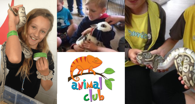 Animal Club