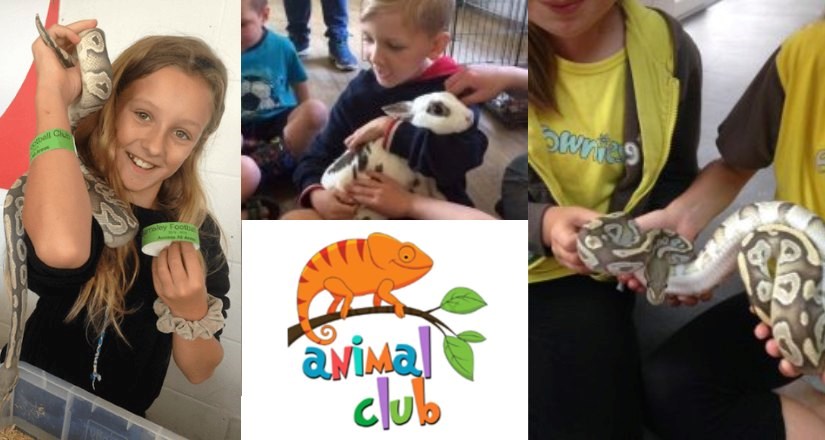 Animal Club: Animal Handling Sessions