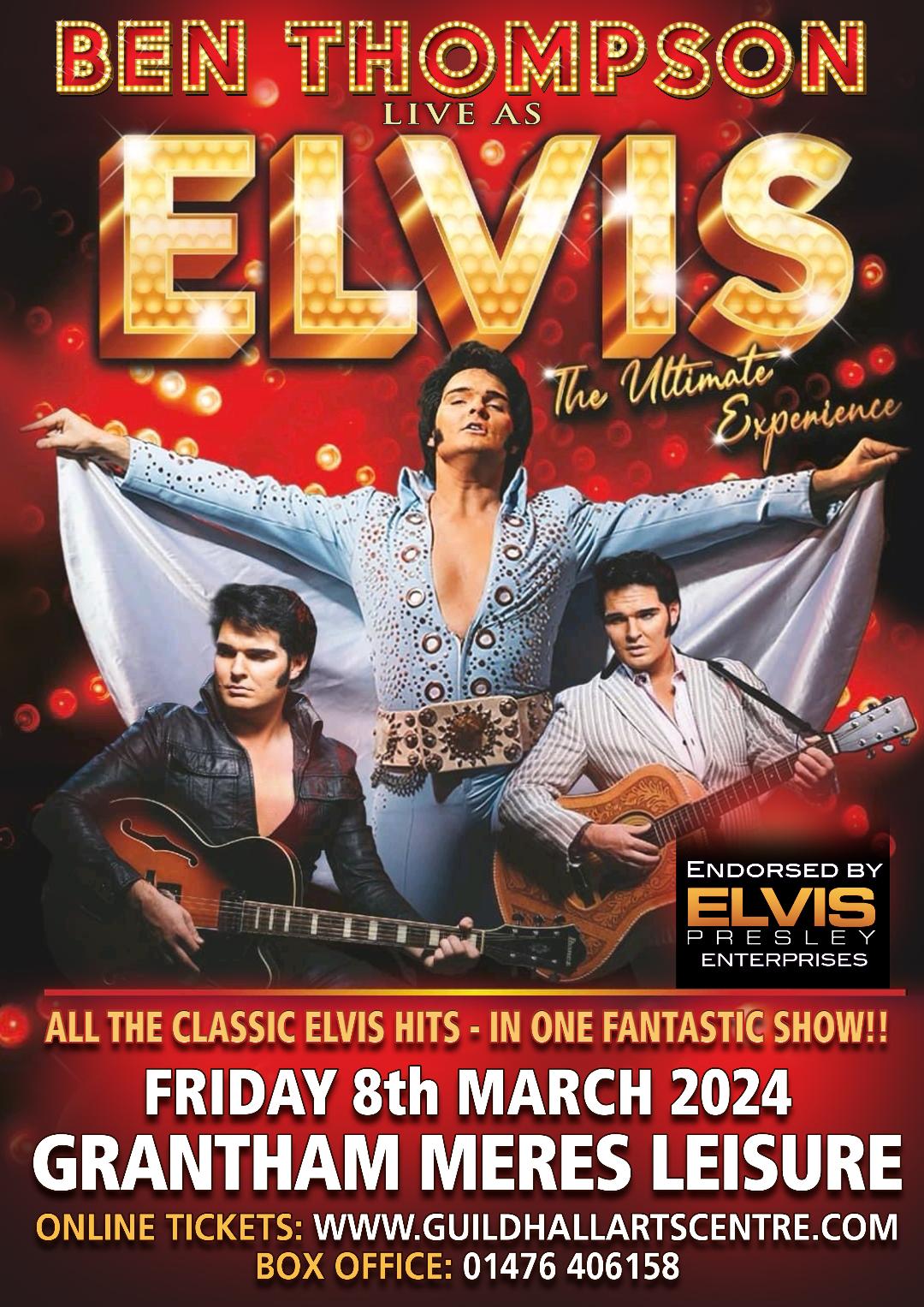Elvis Poster - 2024
