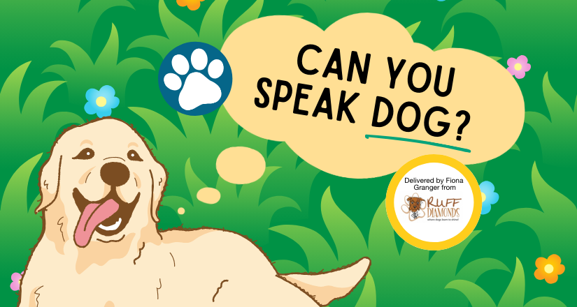 ‘Can You Speak Dog?’ - Wyndham Park