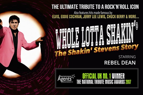 Whole Lotta Shakin' - The Shakin' Stevens Story