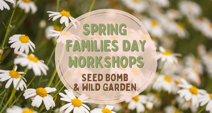 Spring Families Day Workshops – Seed Bomb & Wild Garden Making