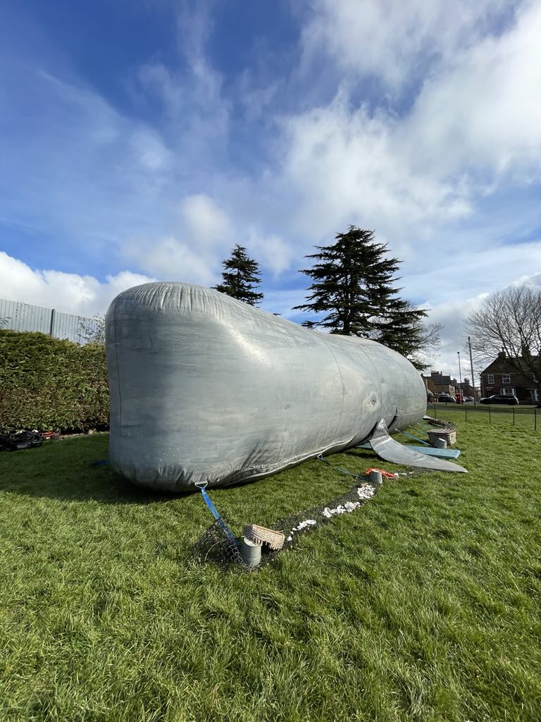 The Whale Splashes into South Kesteven!