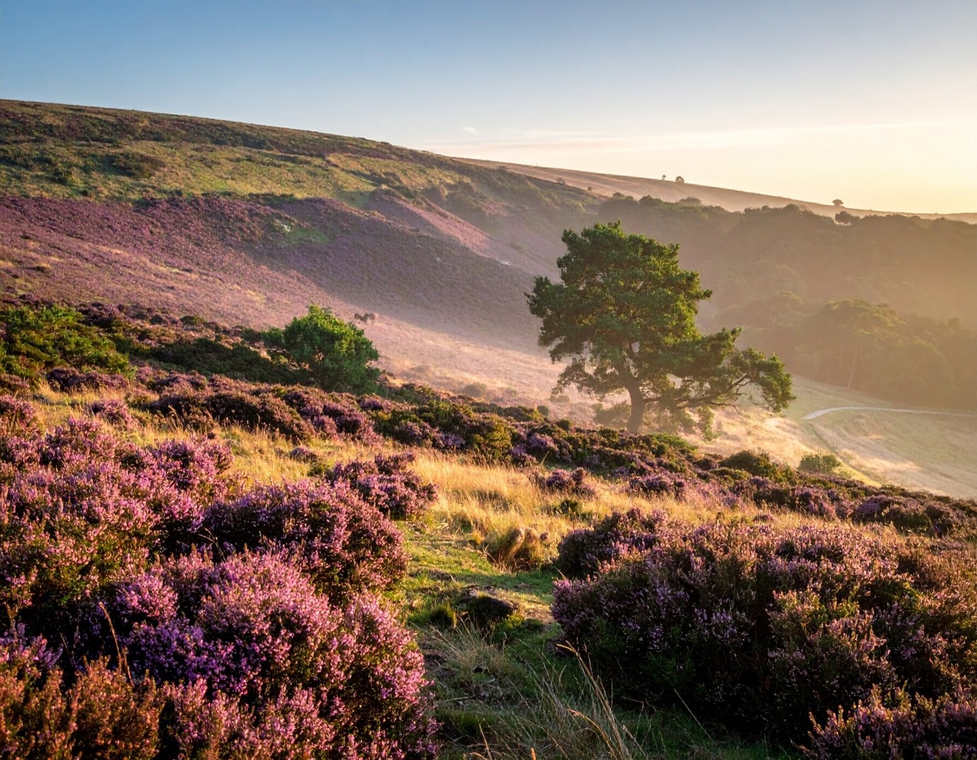 The Return Of The Native (Guildhall)